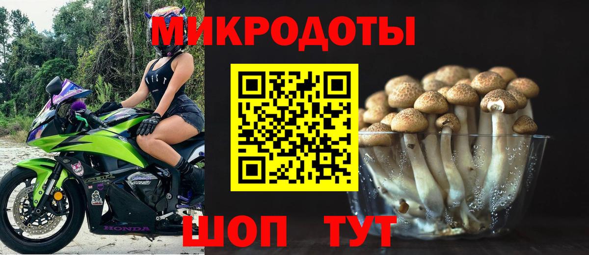 Псилоцибиновые грибы Psilocybine cubensis Борисоглебск