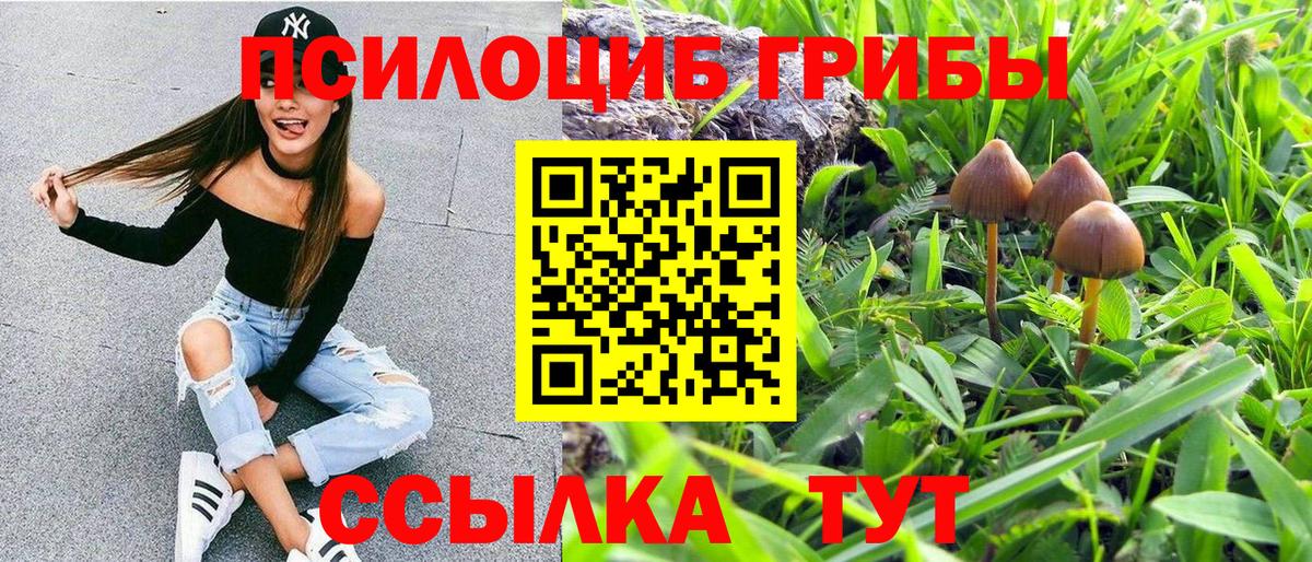 Галлюциногенные грибы прущие грибы  Галлюциногенные грибы Psilocybe  Борисоглебск  Вход с VPN 